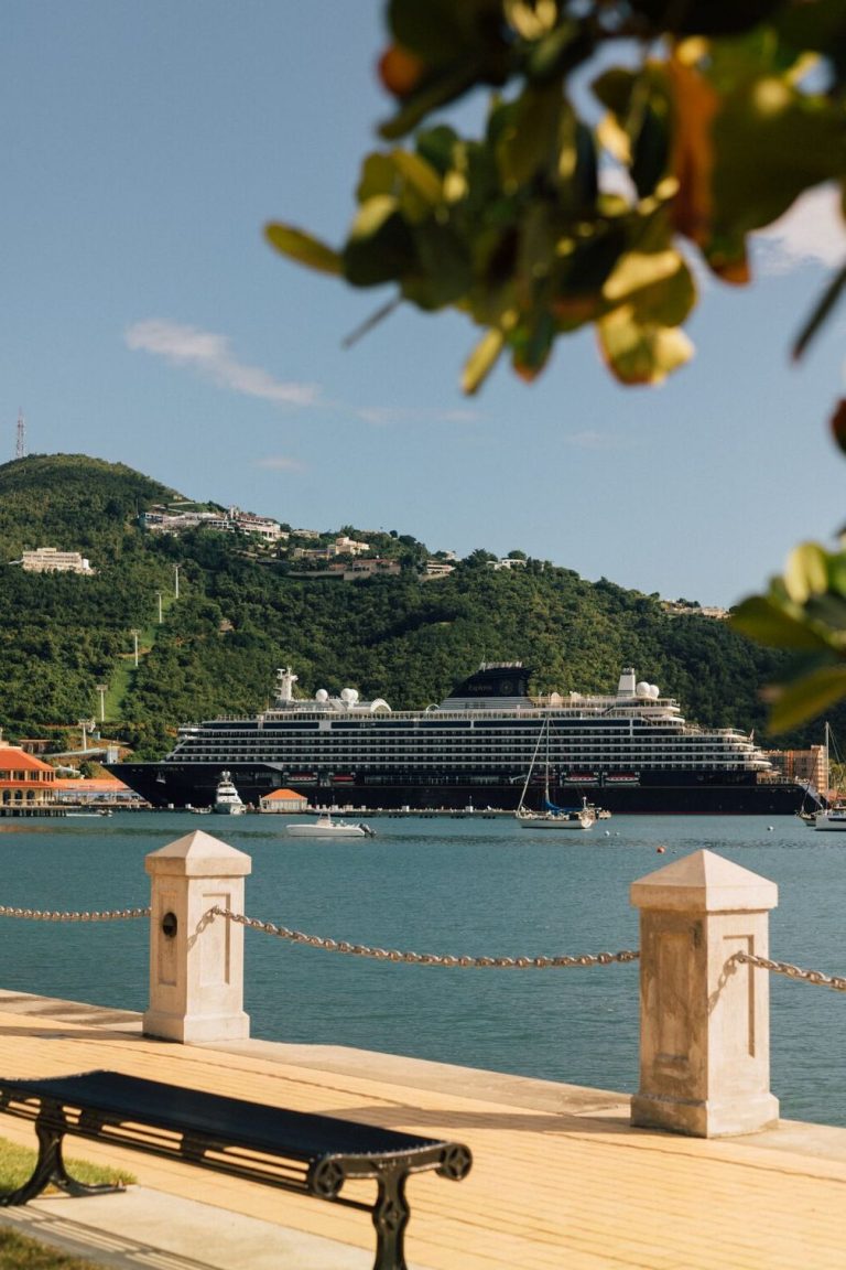 Ein Kreuzfahrtschiff liegt im Hafen, umgeben von Bergen und einem klaren Wasser.