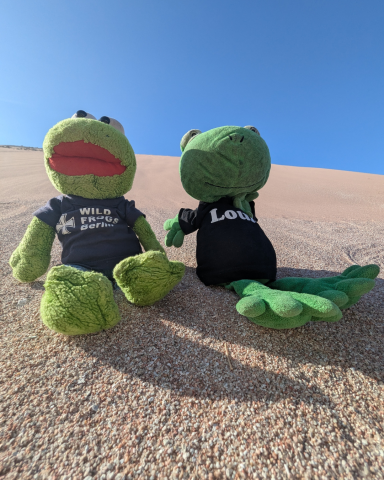 Zwei grüne Plüschfrösche in T-Shirts sitzen auf einer sandigen Fläche unter blauem Himmel.